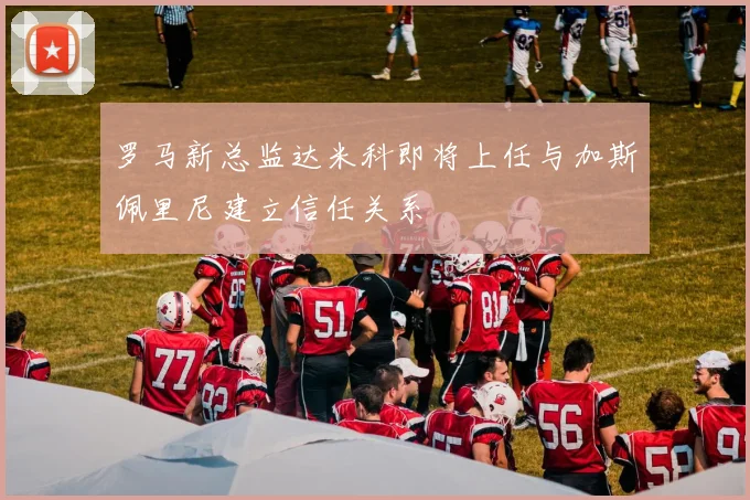 罗马新总监达米科即将上任与加斯佩里尼建立信任关系