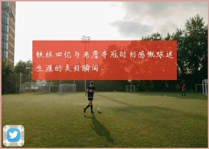 铁林回忆与老詹夺冠时刻感慨球迷生涯的美好瞬间